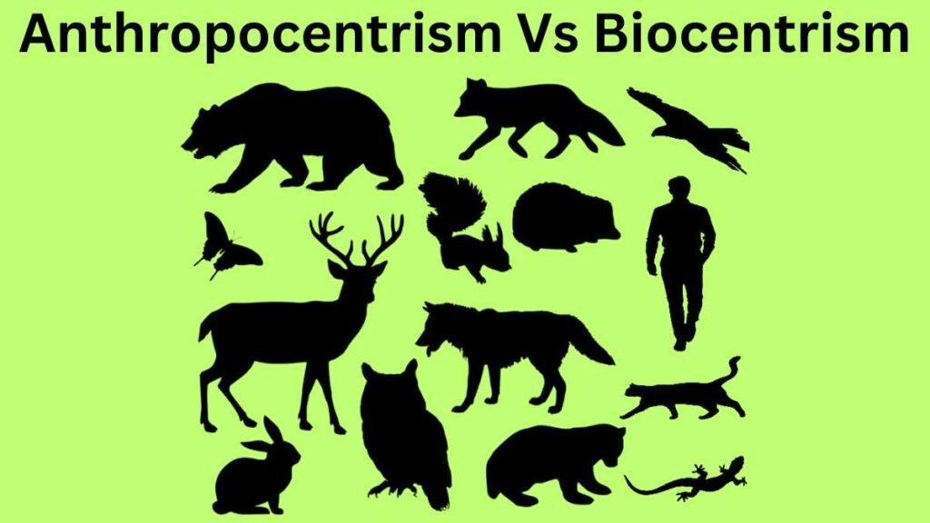 Biocentrism Debunked