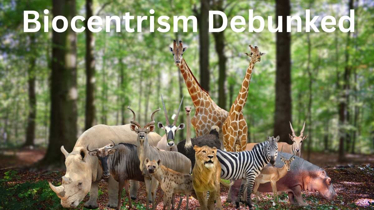 Is Biocentrism Debunked: Science Behind Animal Life and Environment