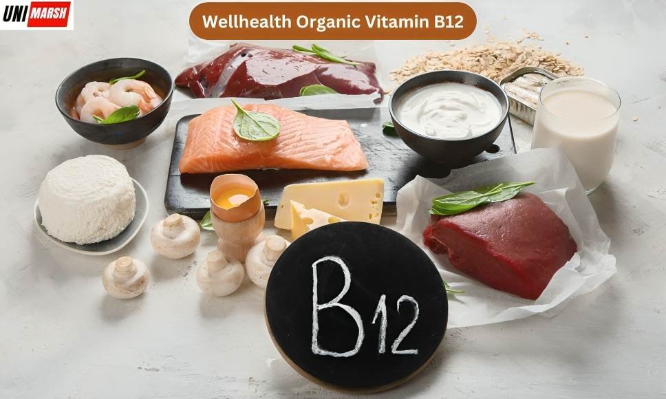 Exploring the Advantages of Wellhealth Organic Vitamin B12
