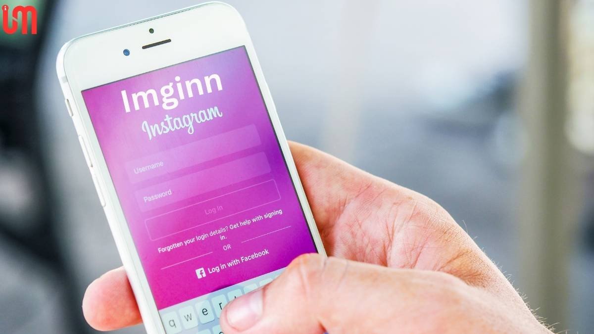 Imginn